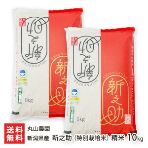 yߘa7NxVāzʍ͔|āi_Ew엿jVY VV  Iׂ 5kg 10kg ێR_  邿 ͂ VY VV V YҒ  Mtg v[g 