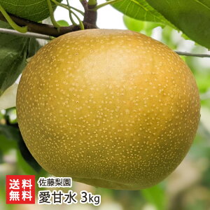 ���Ð� 3kg�i6�`9�ʁj �������� �V�����Y�� �Ȃ� �i�V �a�� �V���� ���Y�Ғ��� ������ �M�t�g �v���[���g ���蕨