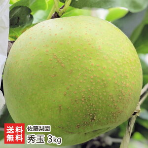 �G�� 3kg�i5�`8�ʁj �������� �V�����Y�� �Ȃ� �i�V �a�� �V���� ���Y�Ғ��� ������ �M�t�g �v���[���g ���蕨