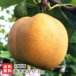 ���������� 3kg�i6�`9�ʁj �������� �V�����Y�� �Ȃ� �i�V �a�� �V���� ���Y�Ғ��� ������ �M�t�g �v���[���g ���蕨