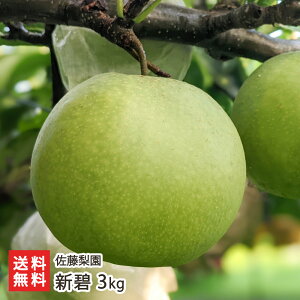 �V�� 3kg�i4�`8�ʁj �������� �V�����Y�� �Ȃ� �i�V �a�� �V���� ���Y�Ғ��� ������ �M�t�g �v���[���g ���蕨