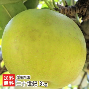 ��\���I 3kg�i6�`9�ʁj �������� �V�����Y�� �Ȃ� �i�V �a�� �V���� ���Y�Ғ��� ������ �M�t�g �v���[���g ���蕨