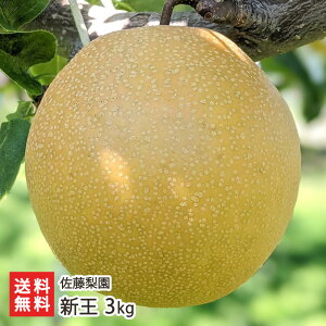 �V�� 3kg�i5�`9�ʁj �������� �V�����Y�� �Ȃ� �i�V �a�� �V���� ���Y�Ғ��� ������ �M�t�g �v���[���g ���蕨