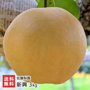 �V�� 3kg�i4�`8�ʁj �������� �V�����Y�� �Ȃ� �i�V �a�� �V���� ���Y�Ғ��� ������ �M�t�g �v���[���g ���蕨