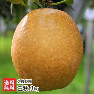 ���H 3kg�i4�`8�ʁj �������� �V�����Y�� �Ȃ� �i�V �a�� �V���� ���Y�Ғ��� ������ �M�t�g �v���[���g ���蕨