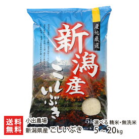 【令和7年度米】新潟県産こしいぶき 選べる 精米・無洗米 5kg 10kg 20kg 小出農場 こめ コメ ライス コシイブキ 新潟 妙高市 新潟県 生産者直送 お取り寄せ ギフト プレゼント 贈り物 送料無料 お中元
