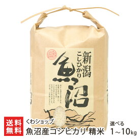 【令和7年度米】魚沼産コシヒカリ精米 選べる 1kg 2kg 5kg 10kg くわショップ 一等米 厳選 コメ こめ ごはん 飯 ライス 津南町 新潟県 生産者直送 お取り寄せ ギフト プレゼント 贈り物 代金引換決済不可 送料無料