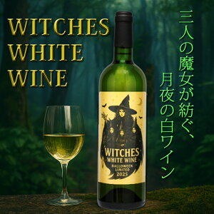nEBy̔Cz750ml v[g Mtg yY j  Fl Z e nEB[ nEB p[eB  @g Mtg   j i Tv