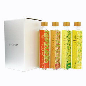 hV̓ 2025 ʎ ݔ׃Zbg Mtg v[g n[g^̉ʎ L[ yAmule A~zi200ml×4j~  Mq Ԃǂ Ì yY a   j i  