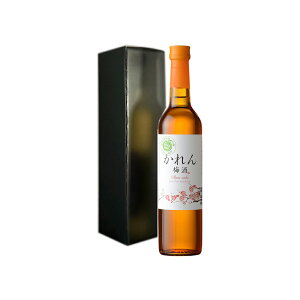 ~ Mtg Ì y~z  500ml Vn  sake  v[g  蕨