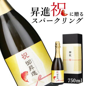 yj ij Xp[NO Cz750ml v[g j  i t 搶 Z e mϔna Mtg   ` ` C~    LOi 