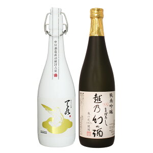 お歳暮 日本酒 ギフト 飲み比べ ギフト 贈り物 おしゃれ【純米大吟醸 amamizu】×【純米吟醸 越乃幻の酒】720ml×2本セット 退職祝い プレゼント 男性 女性 上司 新潟地酒 誕生日 内祝い お返し