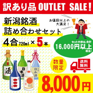 yz󂠂i liȏ̑喞 Vlߍ킹Zbgi720ml×5{ ݔׁjAđAċAAĎȂǂ̓{_œ܂L