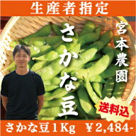 9月中旬位からの発送となります！生産者指定！朝採りを直送!!【新潟県白根産】宮本農園の枝豆!!さかな豆(…