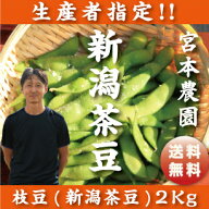 生産者指定！朝採りを直送!!【新潟県白根産】宮本農園の枝豆!!新潟茶豆2キロ【茶豆】