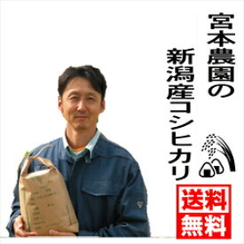 生産者指定！新潟産新米コシヒカリ【新潟県白根産】宮本農園の米!!コシヒカリ10キロ　新潟　コシヒカリ　新米