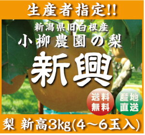 YҎwI@a@VY@_̐V3LI,4`6!!