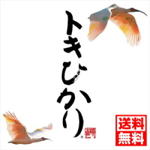 ߘa6NxY̐VĂ10{蔭܂y_zyRVqJzgLЂ!!5Kg͐4.5Kg