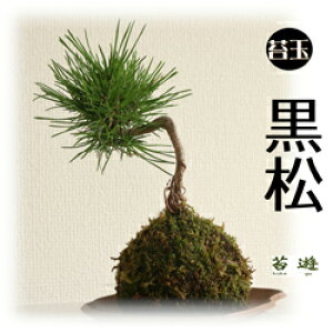 ۗV́@@ij@ۋʁII@NuvusVv@ۗV@ۋʁ@@Ht@V