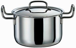 WIEv_Ng@|gt@20cm@4.0L