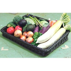 PP^@p^t[hoXPbg΂߁@60^@ubN@VB-948