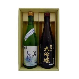 【もりあお 純米】【越後の大吟醸】720ml×2本 送料無料＜日本酒/お酒/地酒/ギフト/贈り物/プレゼント/飲み比べ/姫の井酒造/恩田酒造＞