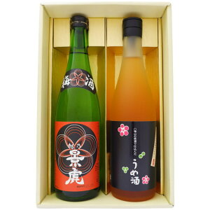 ~ V iՂƔCR~ݔ 720ml×2{Zbg V zTiՔ~ CŘŎd ߎ 2{