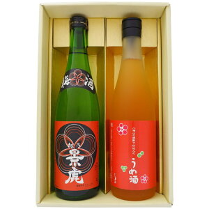 ~ V iՂƔCR~ݔ 720ml×2{Zbg V zTiՔ~ CȐĒŎd ߎ 2{