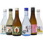 日本酒 飲み比べセット 送料無料 300ml×6本 新潟辛口飲み比べセット 日本酒 お酒 ギフト プレゼント 誕生日 お祝い 父の日 母の日 中元 歳暮