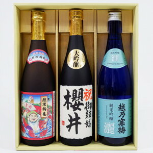  { zT~ r ċ zߋT _ ċƍ 𖼑O720ml×3{@v[gMtgZbg 