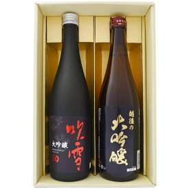 日本酒 新潟 越後の大吟醸と新潟の大吟醸酒 飲み比べ セット 720ml×2本 越後の大吟醸 越路吹雪 大吟醸50 2本 送料無料