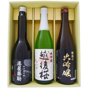 日本酒 新潟 湊屋藤助と新潟の大吟醸酒 飲み比べ セット630ml×1本 720ml×2本 湊屋藤助 純米大吟醸 越後の大吟醸 大吟醸 越後桜 3本 送料無料