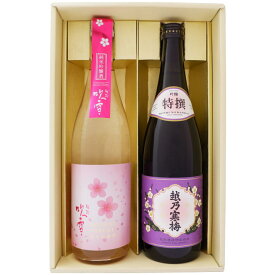 日本酒 【春限定】越路吹雪 純米吟醸 春ボトルと越乃寒梅 720ml×2本ギフトセット 越路吹雪 純米吟醸 春ボトルと越乃寒梅 吟醸 特撰 720ml×2本 送料無料【お酒/地酒/新潟/プレゼント/誕生日/お祝い/内祝/お父さん/父の日/敬老の日/退職/還暦/喜寿】