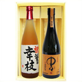 名入れ 梅酒と焼酎ギフト 中々 麦焼酎　名前入れ越路吹雪梅酒 720ml×2本 送料無料 書道師範の手書き名前入り 梅酒 お酒 地酒 sake 新潟 オリジナルラベル 和紙ラベル ギフト 贈り物 プレゼント 誕生日 お祝い 内祝 お父さん 父の日 敬老の日 退職 還暦 喜寿 令和