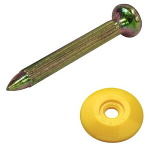 RmG lCZbg  No.1S 10 y{z V@