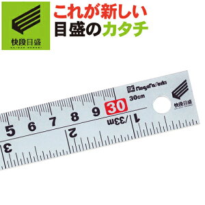 yiڐ**߂**zpVo[XP[ cm ڑڐ 30cm CSS-30KD ͈0-300mm XeX y{z V@