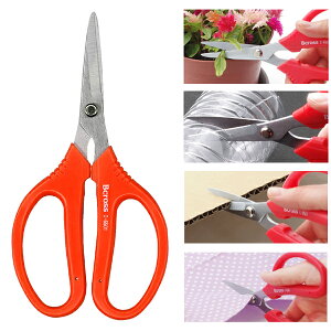 Ntg}CJbg C-6501 S170mm pIbNiPAOCKjy͂ nT~  ؒf \ ٖD Ntg z