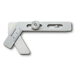 XChh|CgQ[W S-118 y{z V@