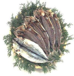 yrXz ^ ނ날 i 7y Mtg v[g t  H ~ LO a ̓ ̓ hV̓  Εz