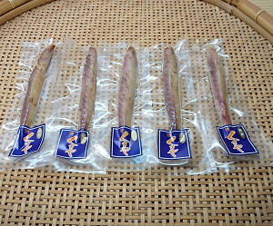 yی܏Xz ĂXeBbN 5{Zbgy Mtg v[g t  H ~ LO a ̓ ̓ hV̓  Εz