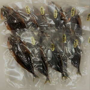 ygRXzAW yHׂTCY(̒20cm)10!ۑՂ^pbN^Cv!!zy Mtg v[g t  H ~ LO a ̓ ̓ hV̓  