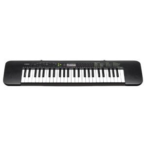 CASIO JVI dqL[{[h 49W X^Cv CTK-240