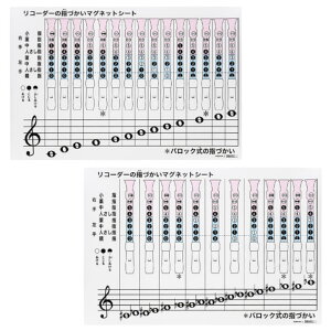 ZEN-ON [I ZRM-6B R[_[̎wÂ}OlbgV[giSK{hj