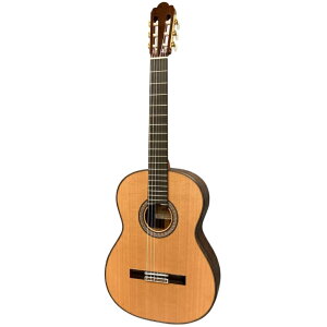 ASTURIAS REGULAR MODEL CUSTOM/C ij NVbNM^[