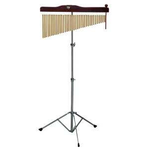 KIKUTANI LN^j 36 c[`C TC-36 o[`C ECh`C