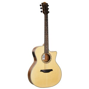 Bromo BAA2CE �I�[�f�B�g���A���V�F�C�v �A�R�[�X�e�B�b�N�M�^�[ �G���A�R