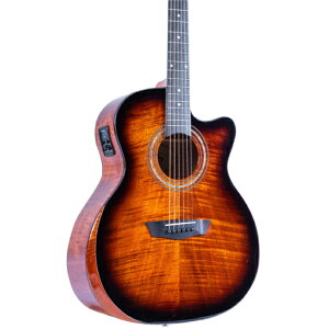 Washburn Comfort WCE12FCE AR[XeBbNM^[ GGR Jb^EFC