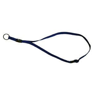 ZENON [I \vm R[_[ Xgbv SRS-01 R[_[ Ђ w