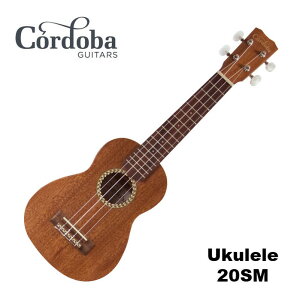 Cordoba Rho 20SM \vm EN