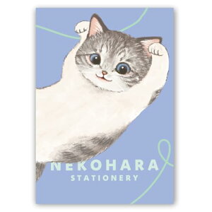 学研ステイフル ノート ねこハラ文具 B6 ブルー BD05021